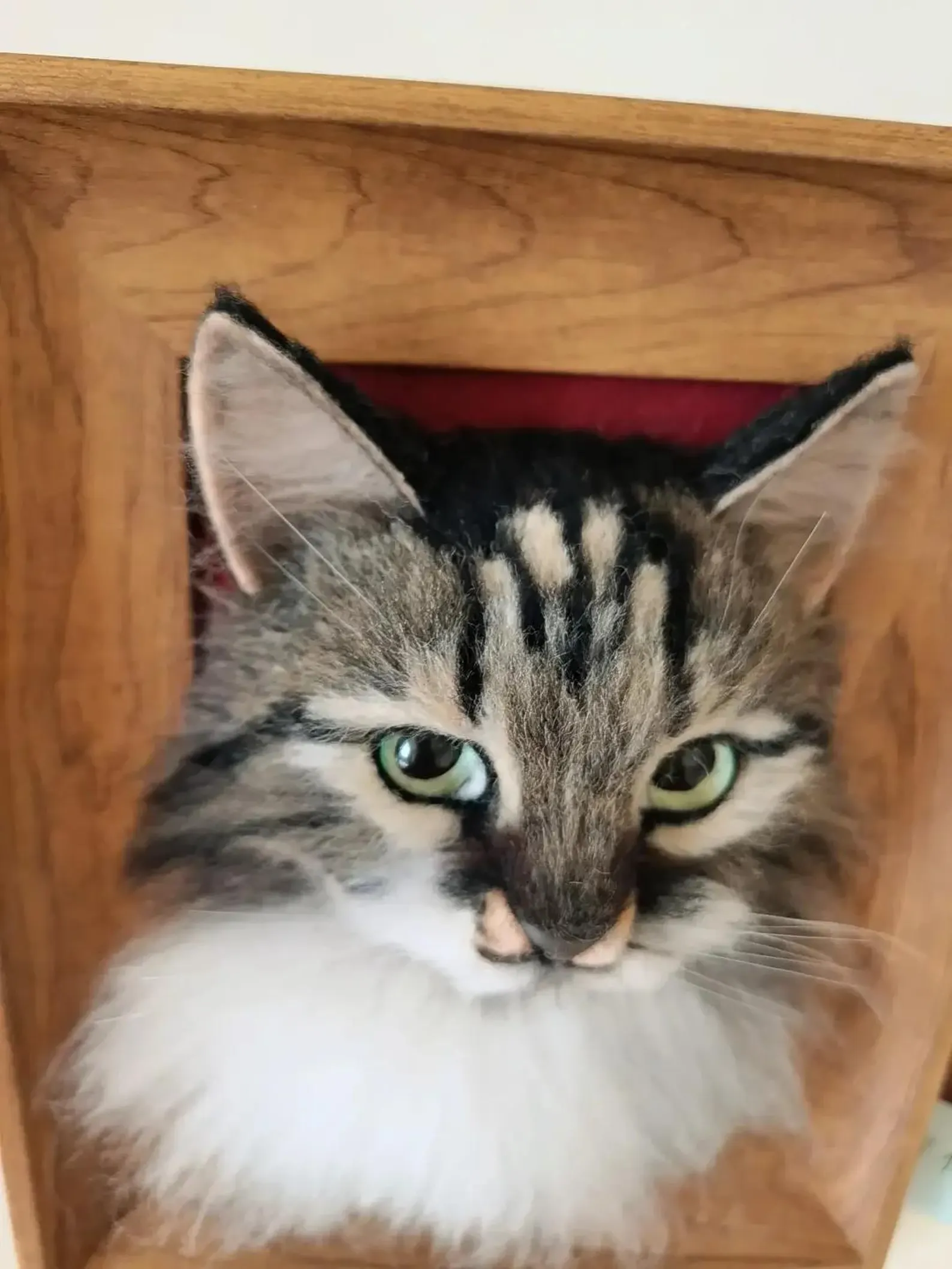 Custom Needle Felted Cat Portrait - 3D Wool Pet Replica in Wooden Frame